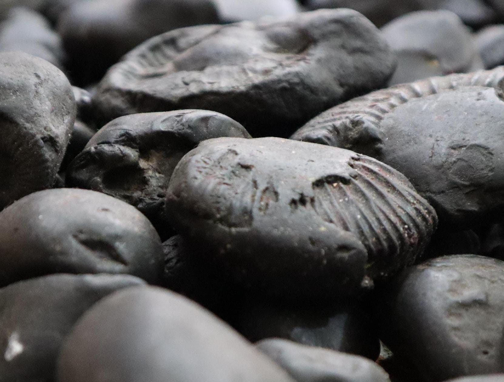 Half Moon Shaligram For Divine Goddess and Feminine Energy
