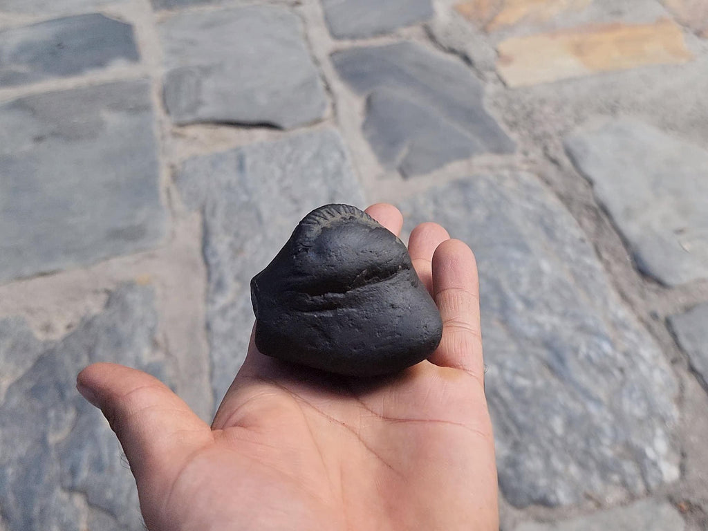 Samboo Shankar Nama Shivaya Shaligrama From Nepal, Stone For Om Devotion