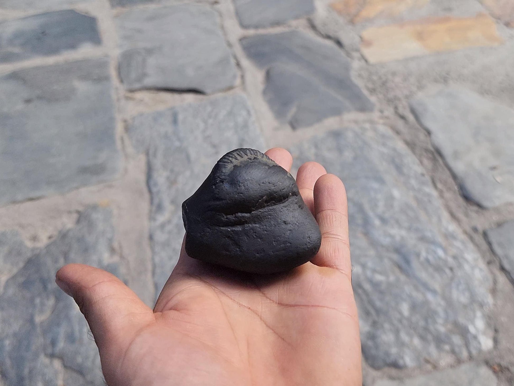 Samboo Shankar Nama Shivaya Shaligrama From Nepal, Stone For Om Devotion