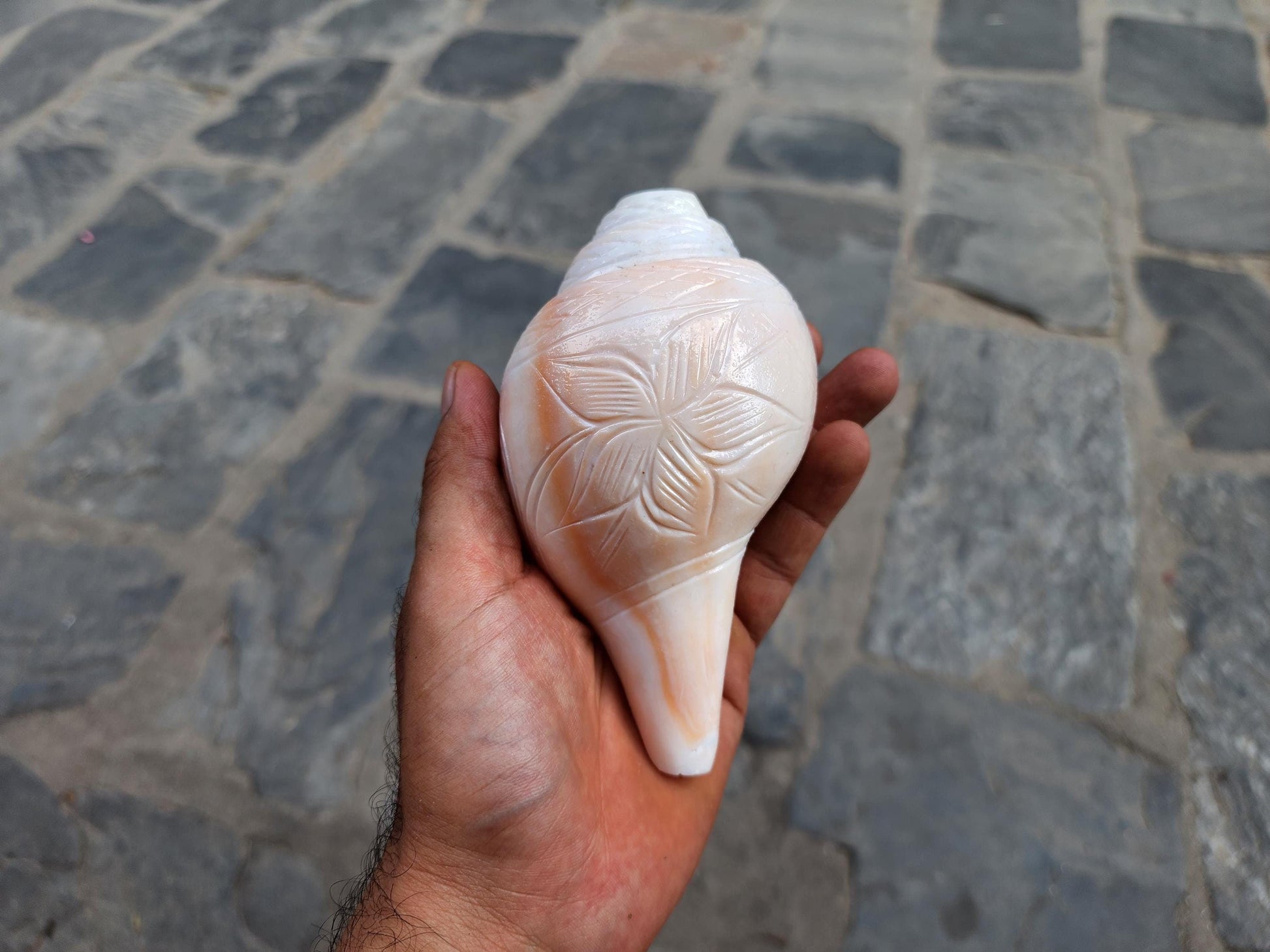 Rose Blowing Sankha, Hand Carved Flower Design