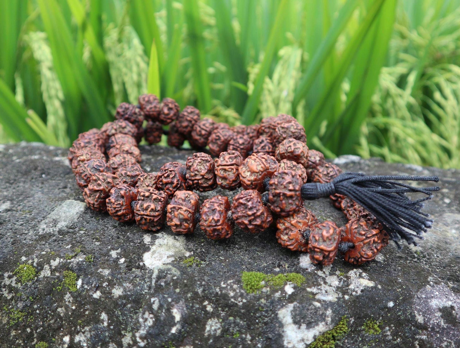 Tibetan Rudraksha Prayer Beads