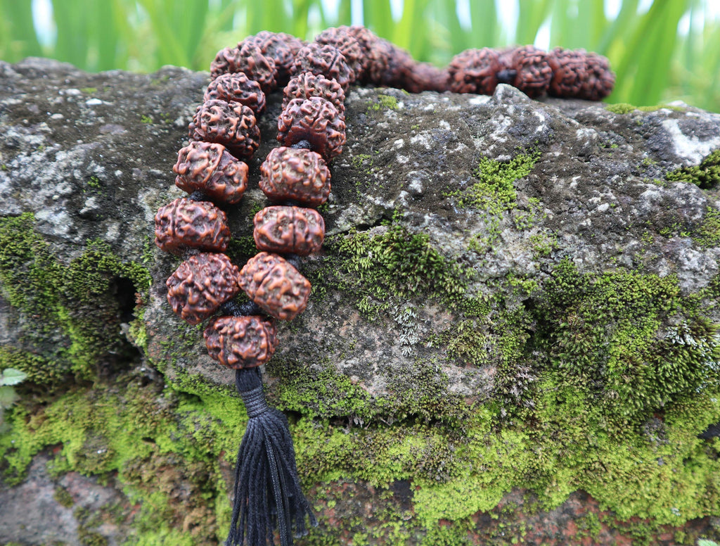 Tibetan Rudraksha Prayer Beads