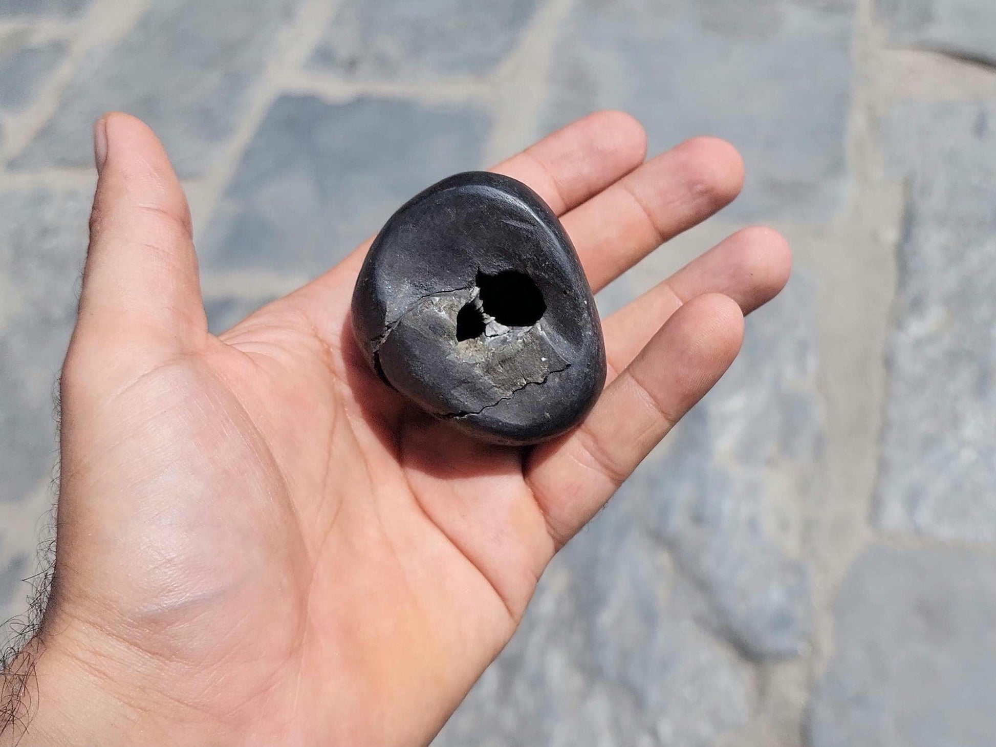 Chakra Healing Shaligrama, A Divine Cosmic Connection, Creation Of Nature, Sacred Seven Chakra Balancing Stone