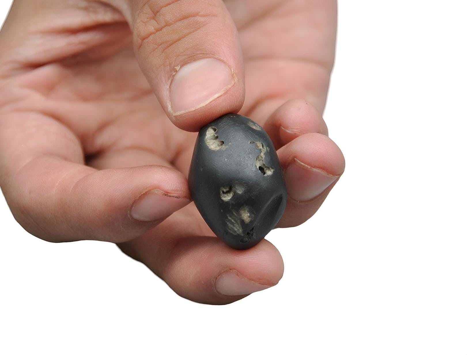 Three Chakra In One Shaligram Precious Stone