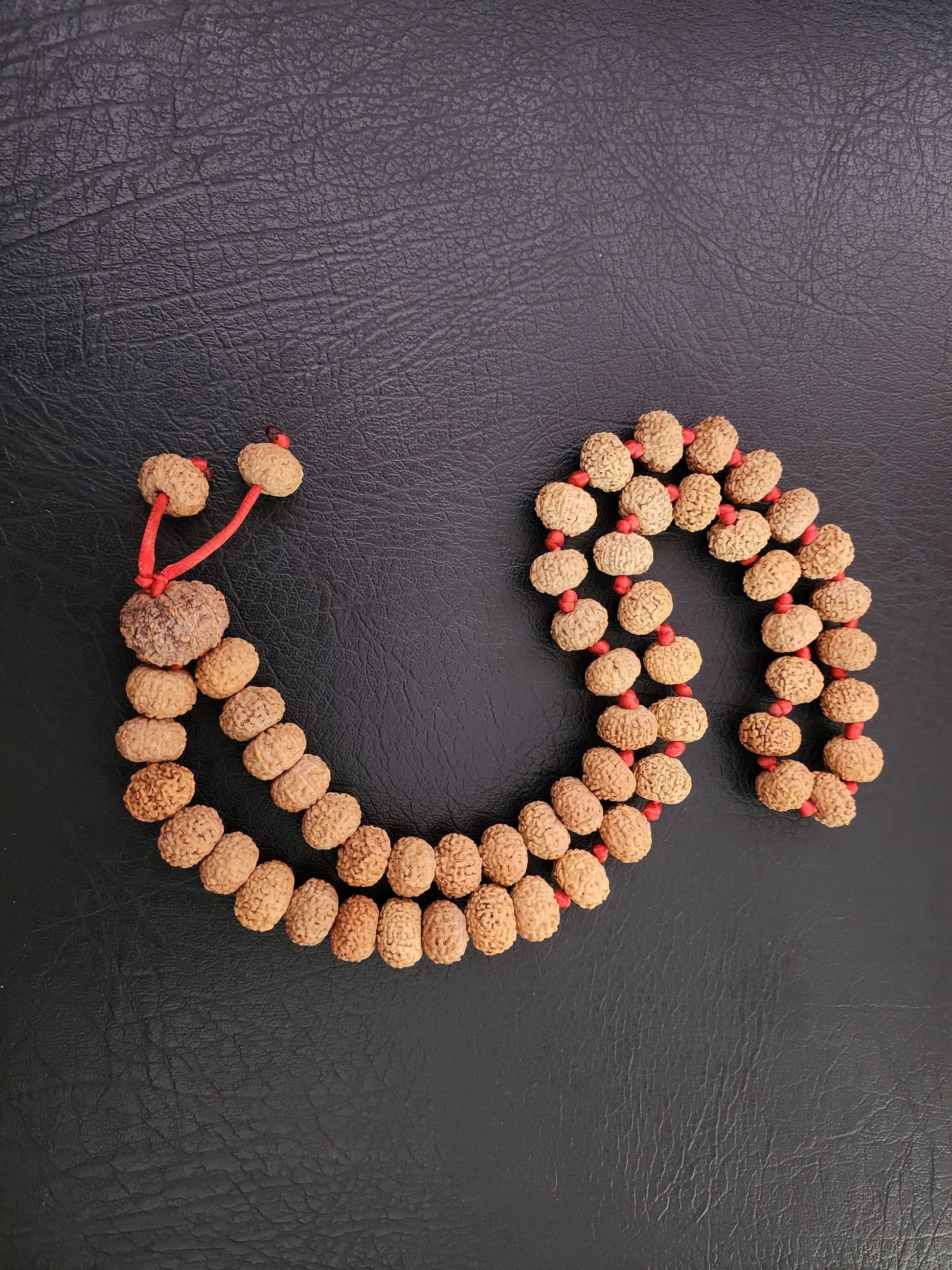 Nine Face Rudraksha Mala