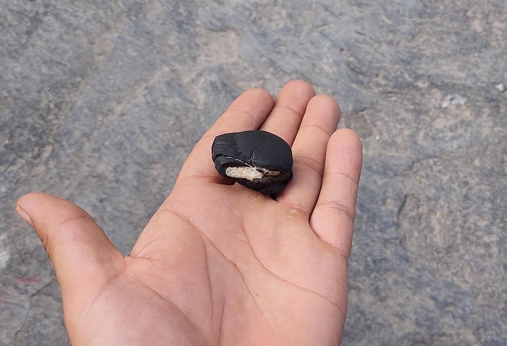 August Birthstone Shaligram – Sacred Power Stone For The Brave And Fearless August Born