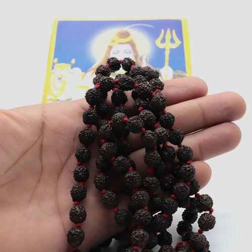 108+1 Rudraksha Prayer Beads | Geniune Rudraksha Seed Mala | Meditation, Rosary, Japa Mala