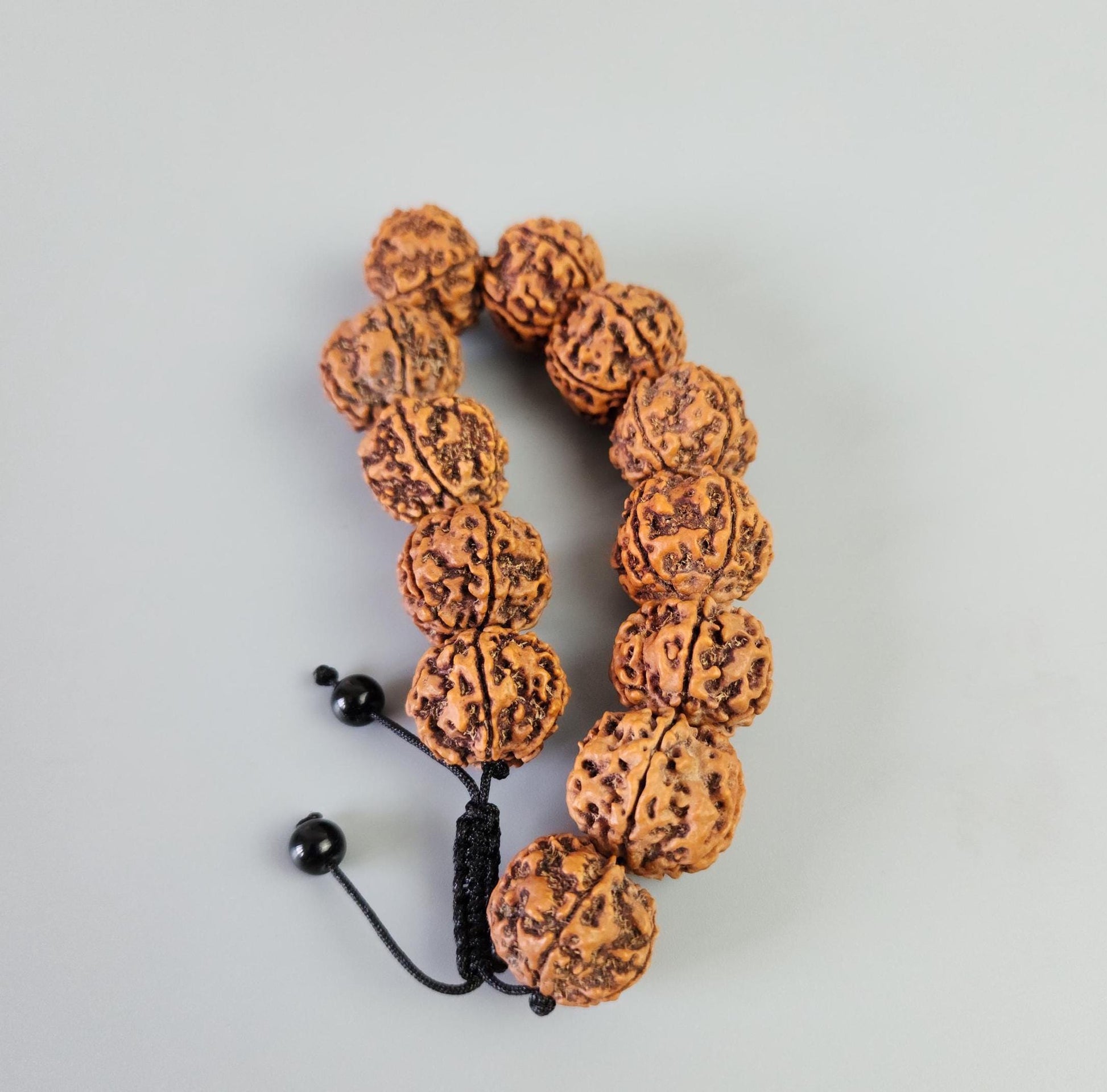 Nepal Rudraksha 26mm 5 Mukhi Bracelet