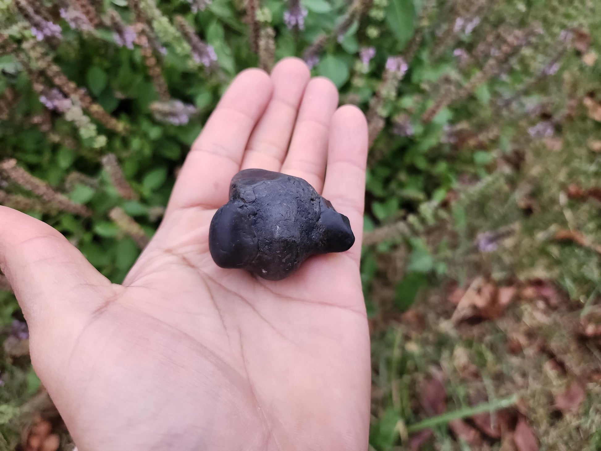 Parsuram Shaligram