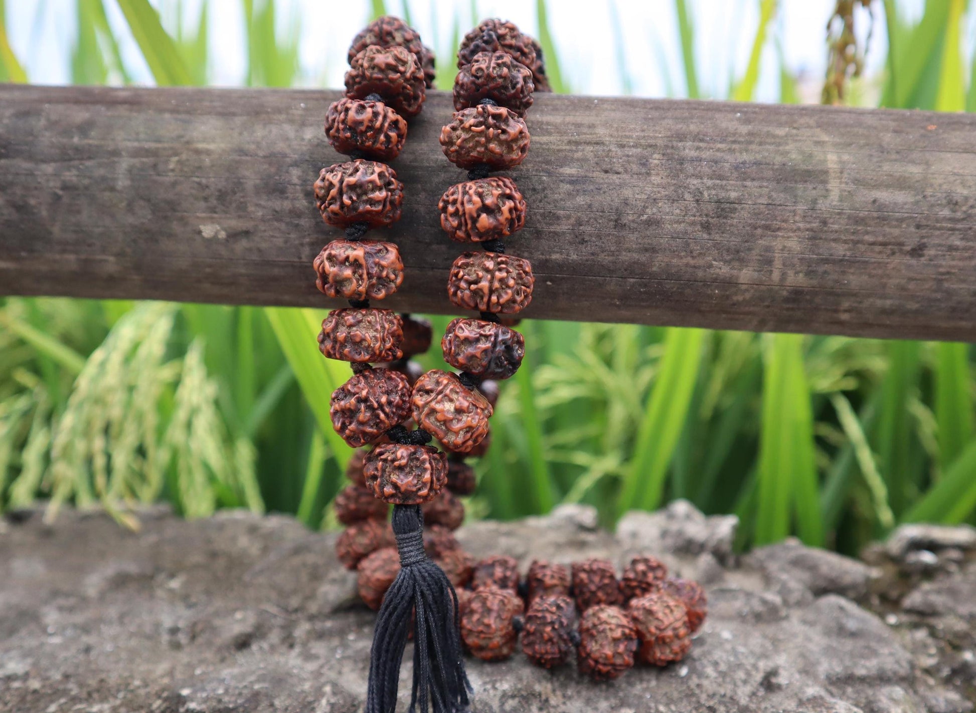 Tibetan Rudraksha Prayer Beads