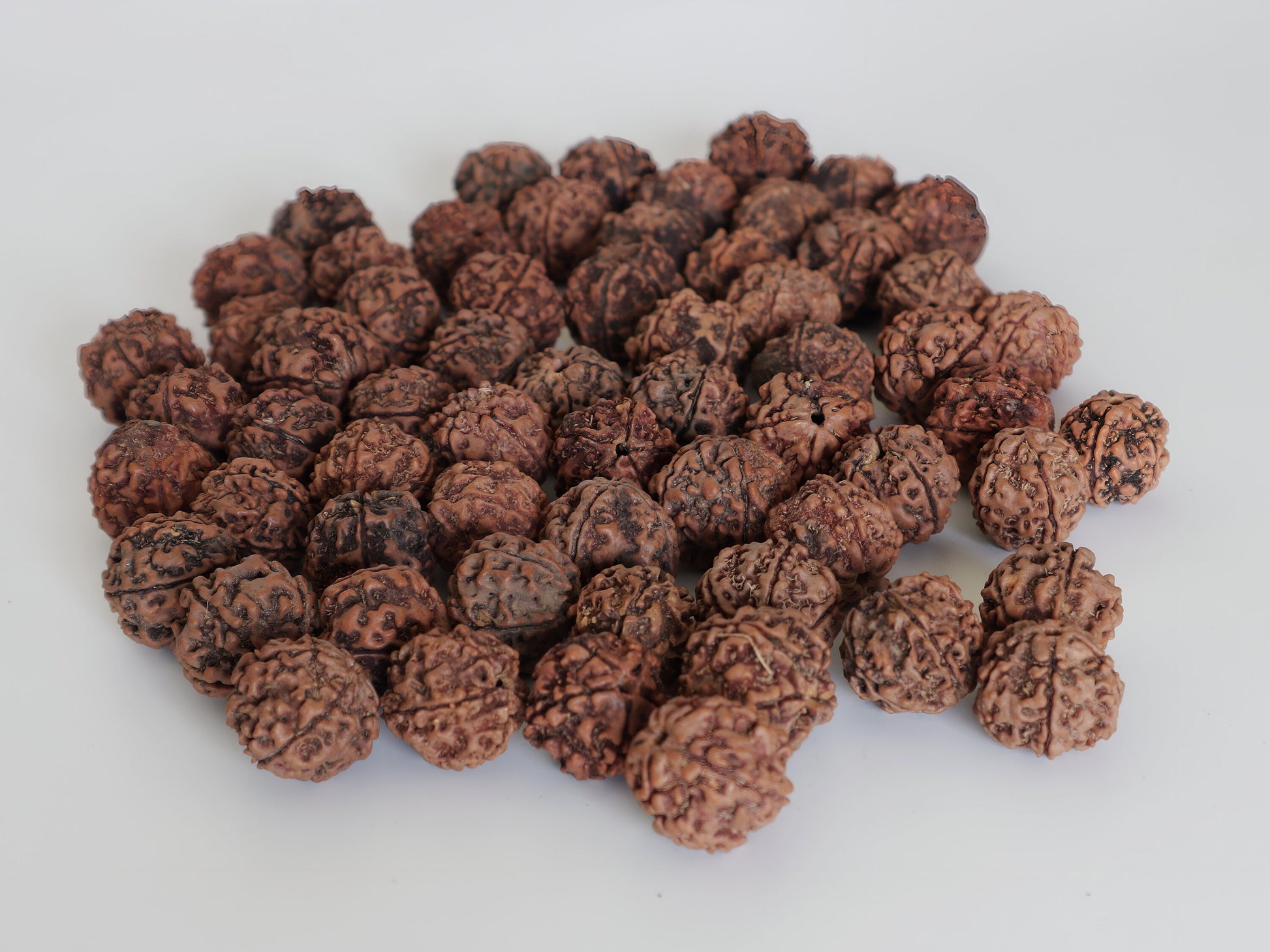 Bulk Natural Rudraksha beads | 100% Real Nepali Seed, 5 face, 16 to 20mm
