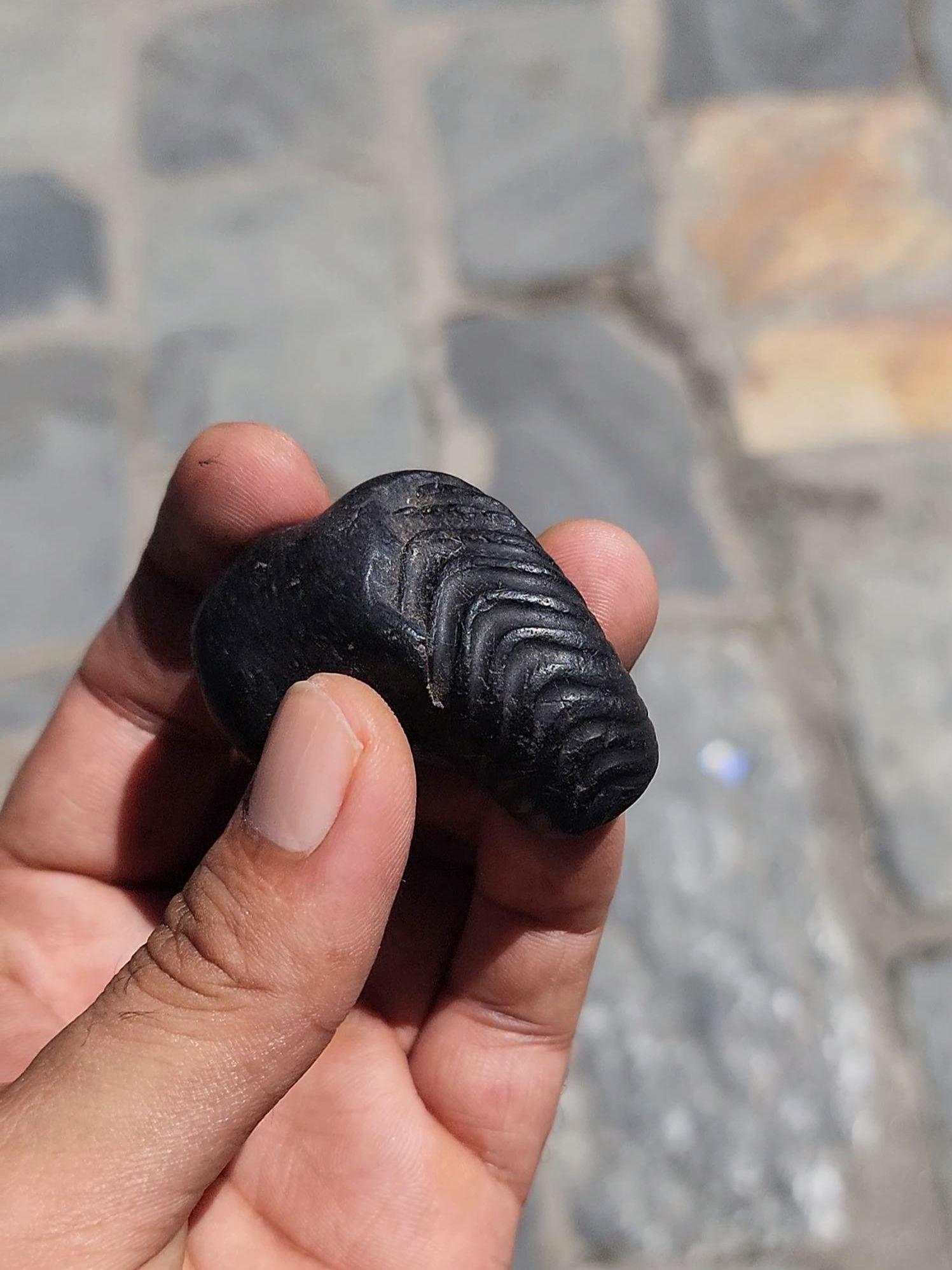 Lord Ganesh Shaligram