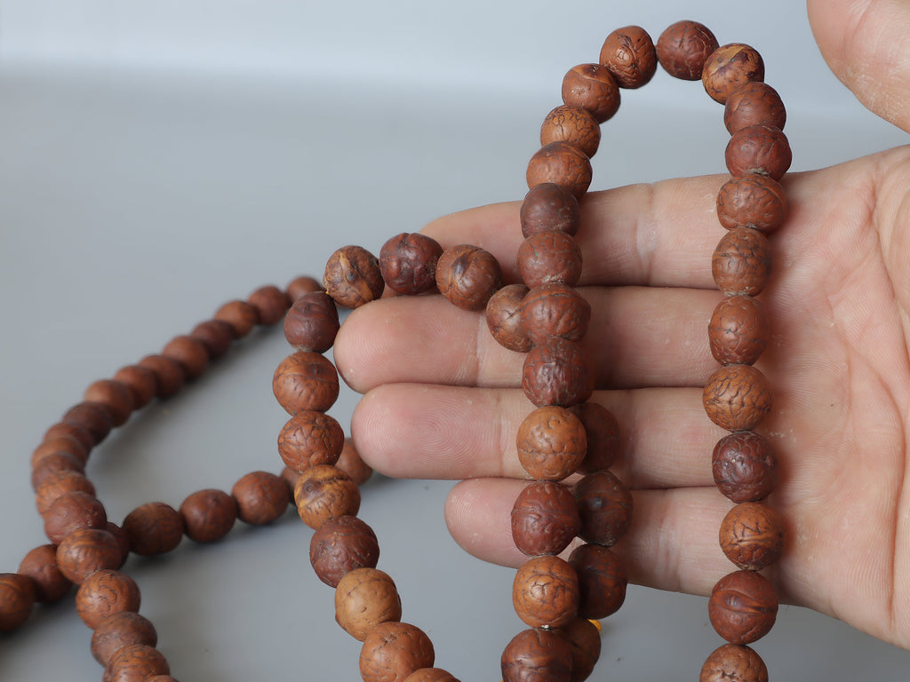 Tibetan Bodhi Seed Dalai Lama Prayer Beads