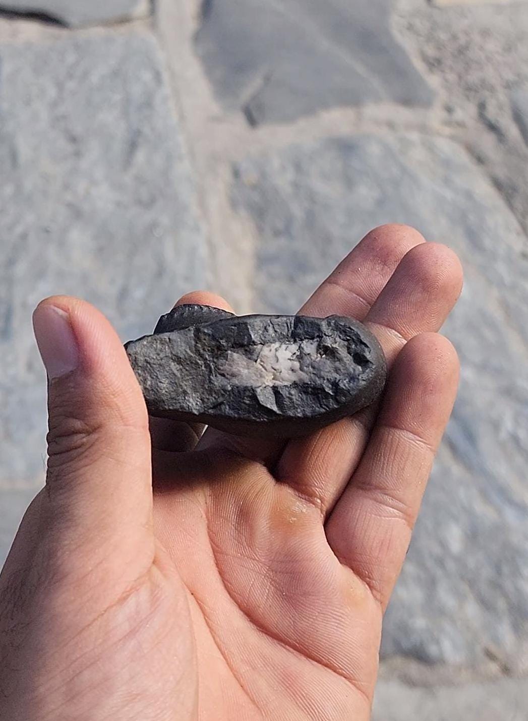 Nirakar Anant Rupa Shaligram
