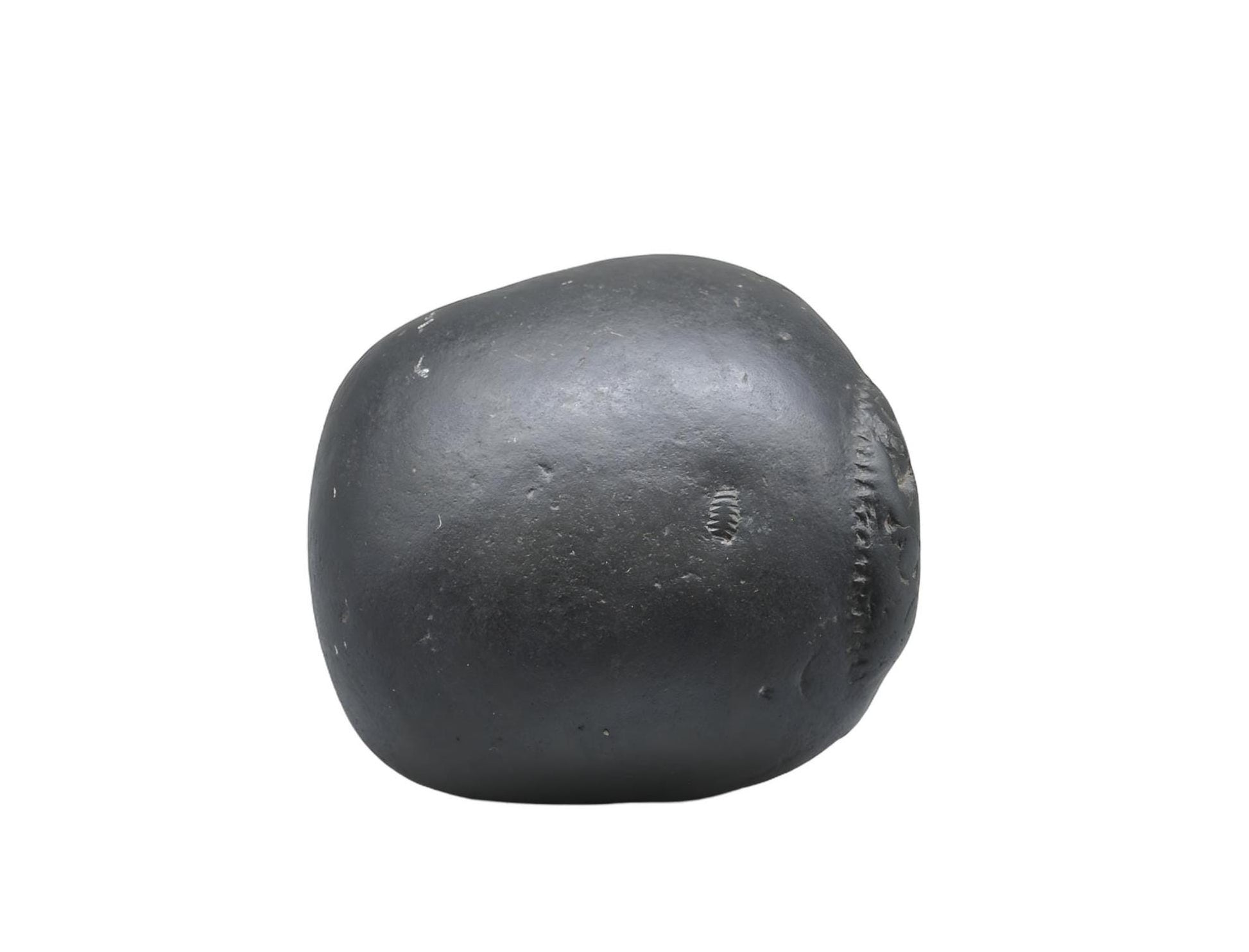 Large Cosmic Chakra Shaligram - Unidentified Shaligram Stone Beleived To Have Sacred Energy For Its Keeper, Natural High Quality Shaligrama