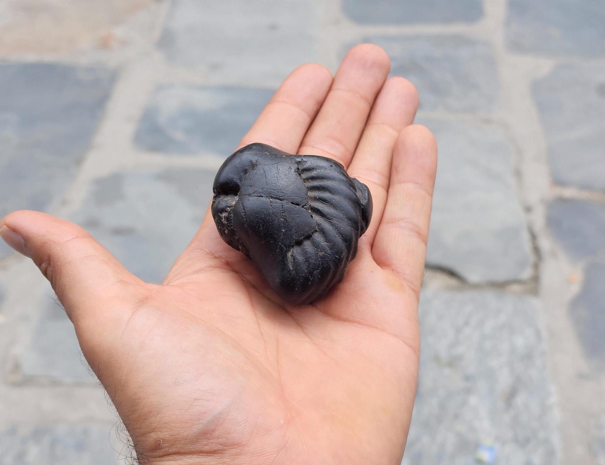 Narasimha Shaligram The Fourth Avatar Of Hindu God Vishnu