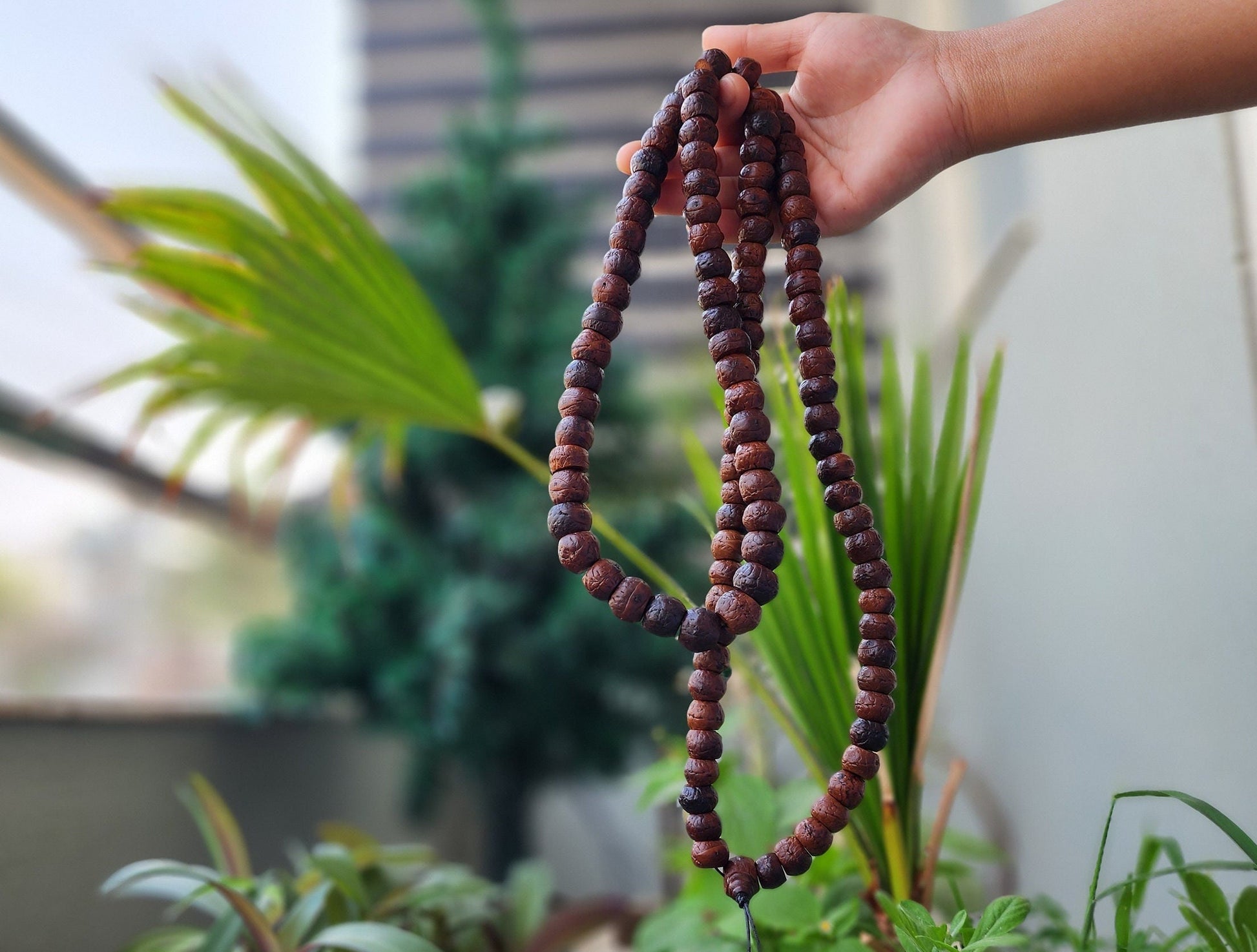 Tibetan Bodhi Seed Mala, Aged Dark Phoenix Eye Buddhist Japa Prayer Beads, Free Bodhi Bracelet
