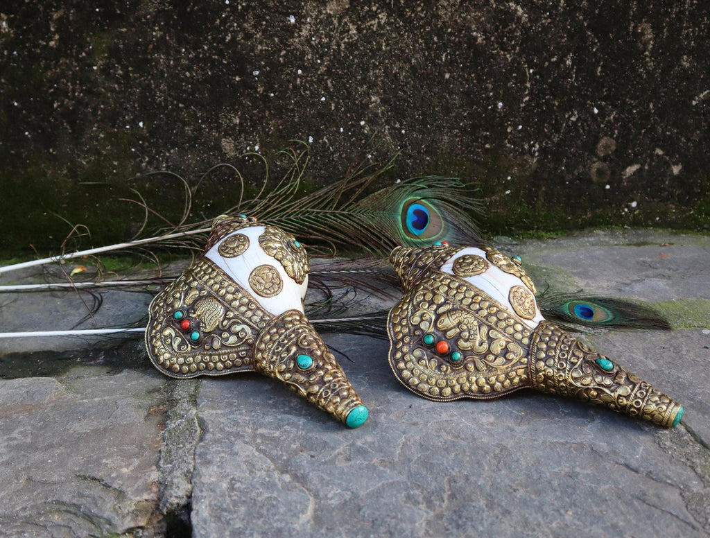 Tibetan Blowing Shankha Conch Shell