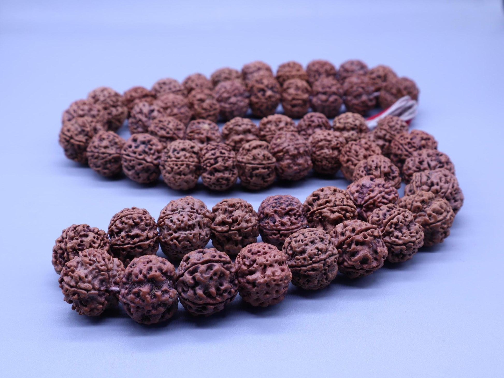 Rudraksha Kanthi Five Face Beads Mala