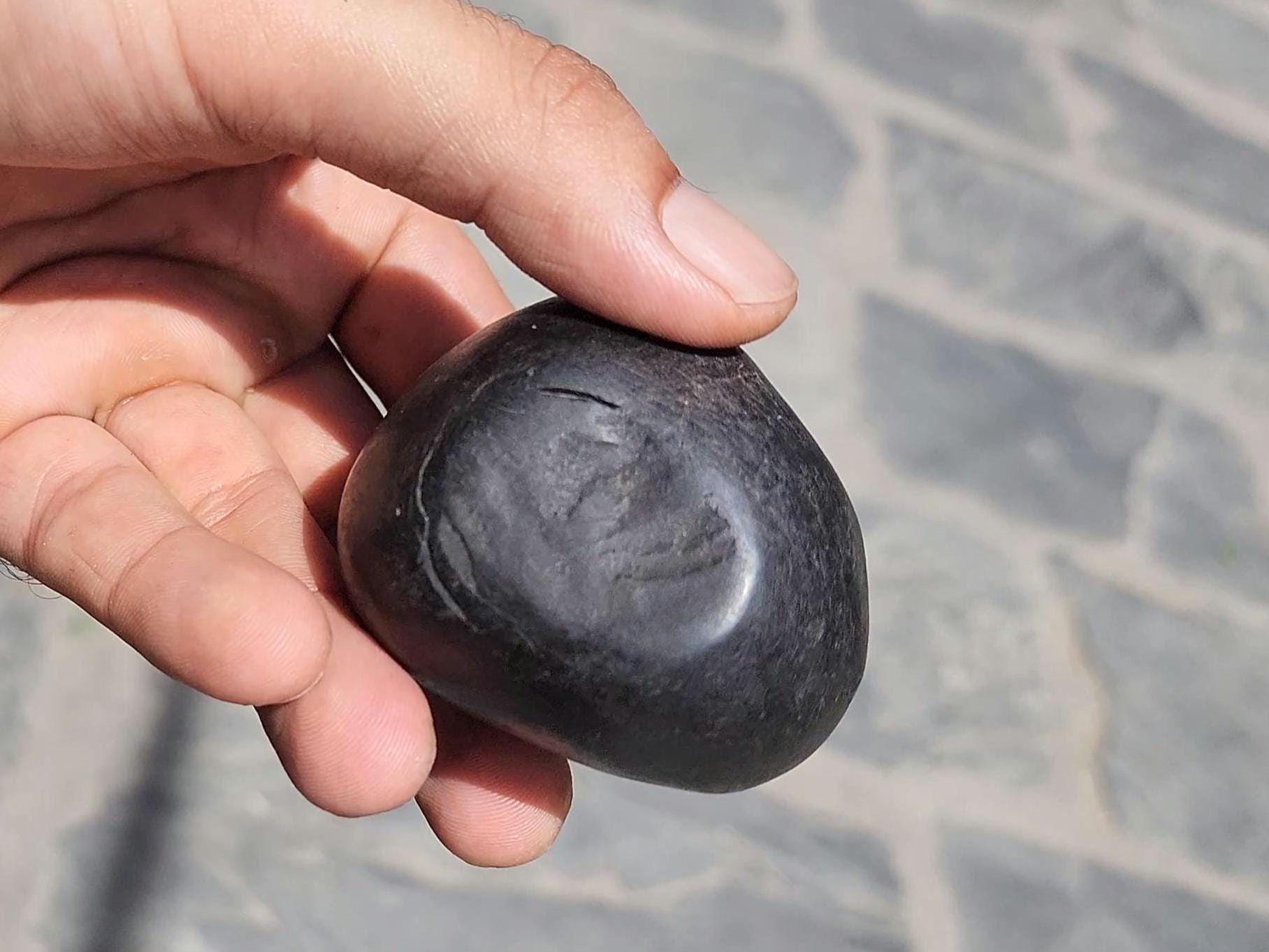 Chakra Healing Shaligrama, A Divine Cosmic Connection, Creation Of Nature, Sacred Seven Chakra Balancing Stone
