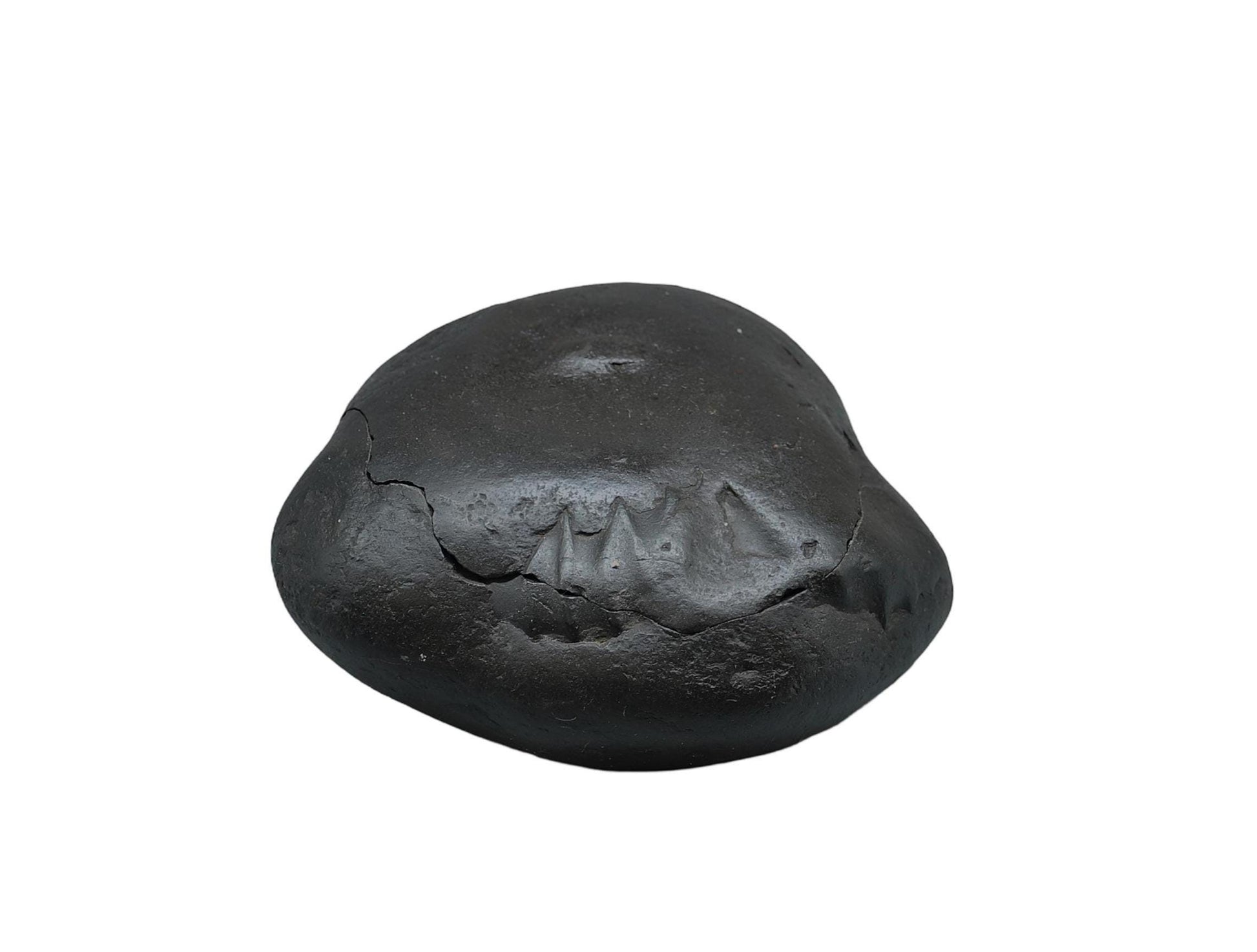 Krishna Sudarshana Chakra Shaligram With Natural Raw Gold