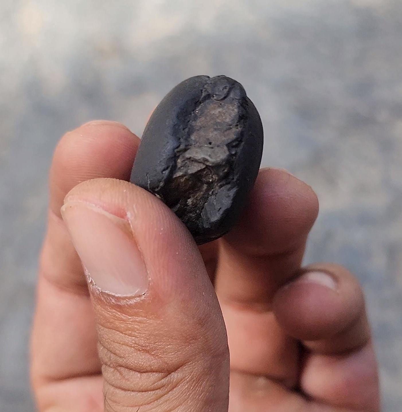 August Birthstone Shaligram – Sacred Power Stone For The Brave And Fearless August Born