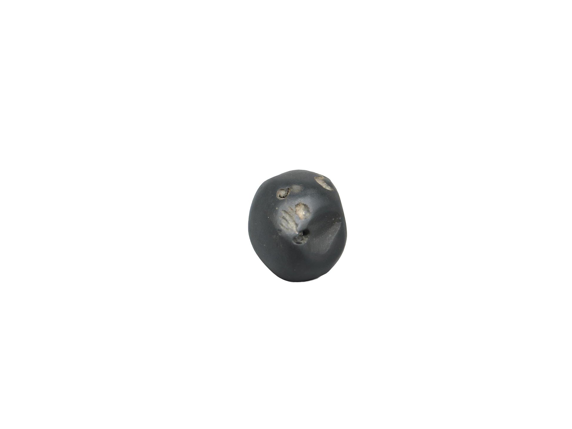 Three Chakra In One Shaligram Precious Stone