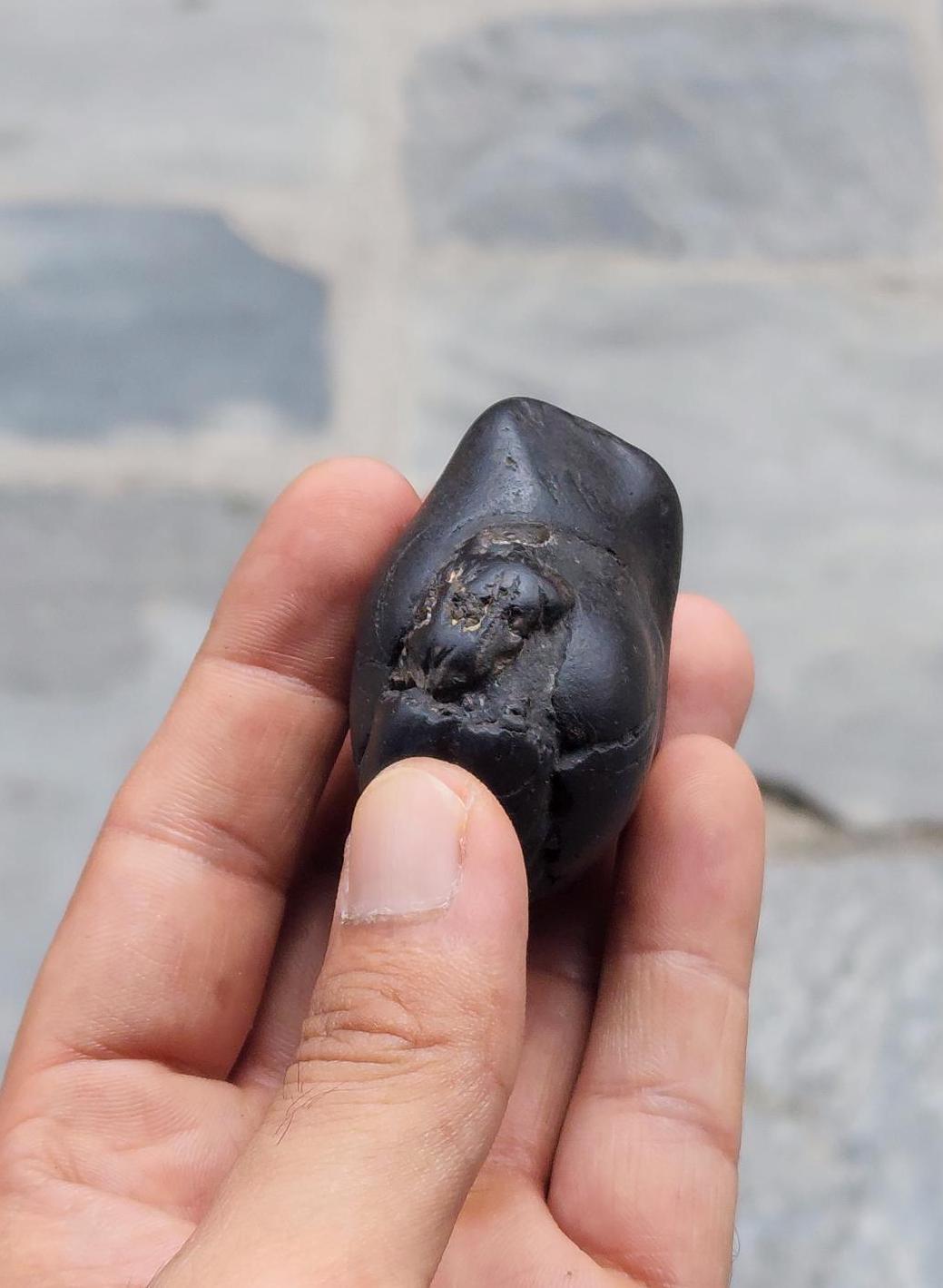 Narasimha Shaligram The Fourth Avatar Of Hindu God Vishnu