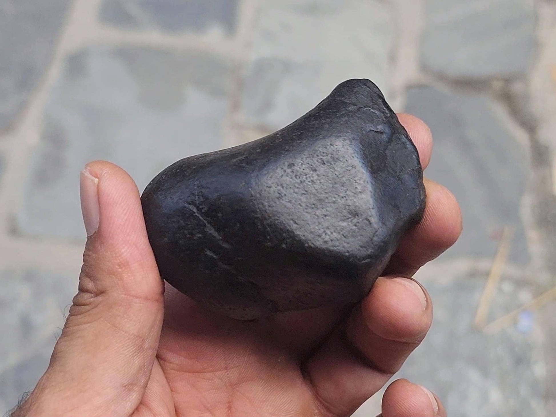 7 Chakras Healing Shaligram