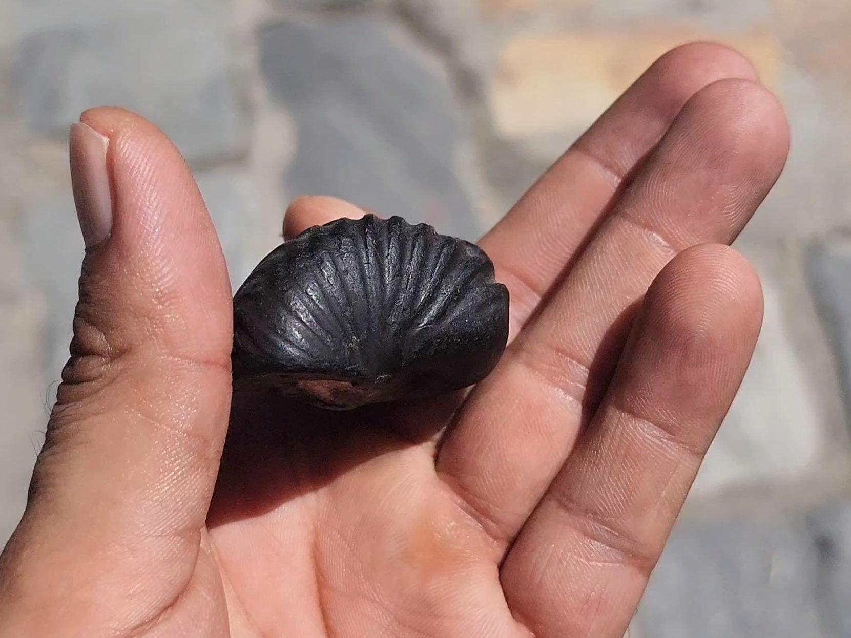 Lord Ganesh Shaligram
