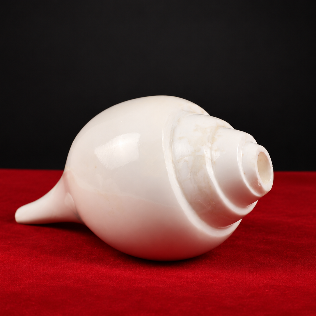 Blowing Conch Shell