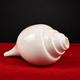 Blowing Conch Shell