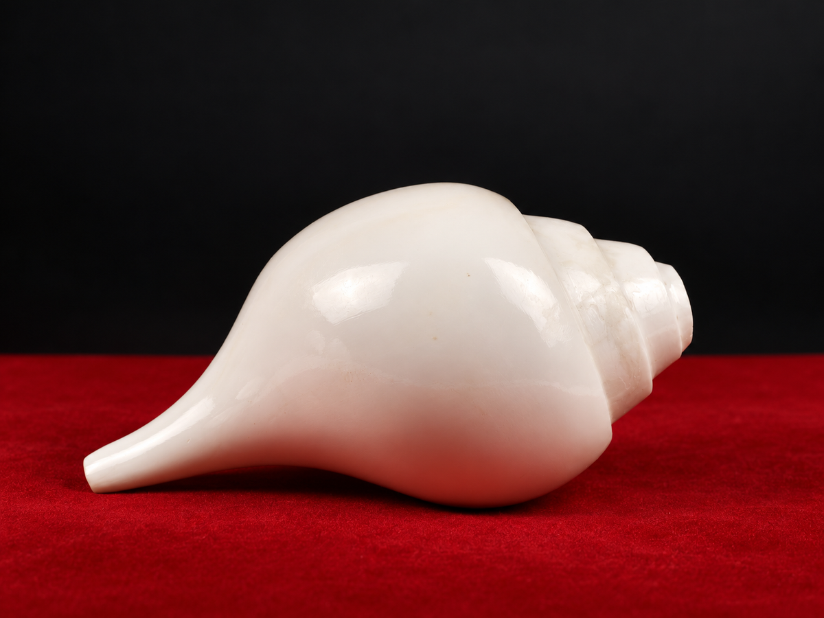 Blowing Conch Shell