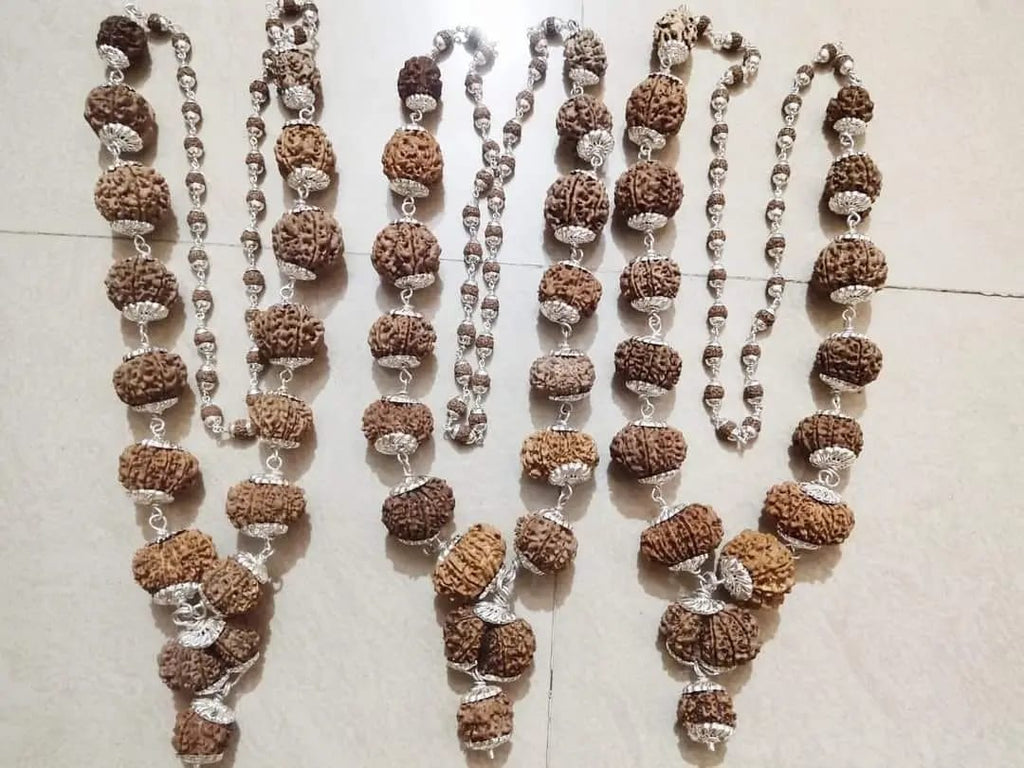 Rudraksha Siddha Mala, 2 to 17 Face Large Nepalese Beads, Made to Order