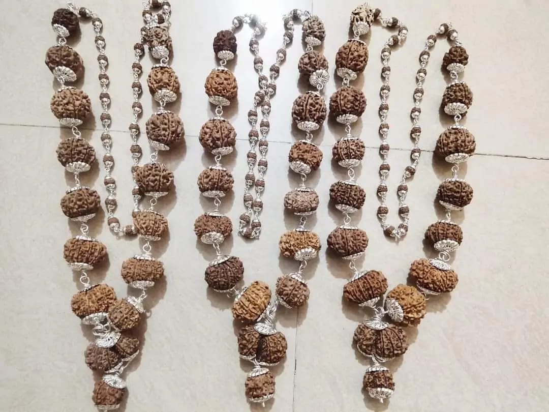 Rudraksha Siddha Mala, 2 to 17 Face Large Nepalese Beads, Made to Order