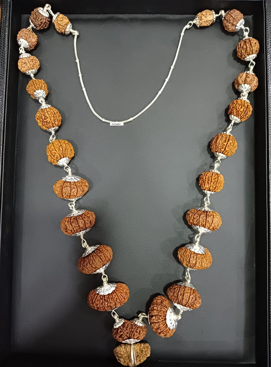 Rudraksha Siddha Mala, 2 to 17 Face Large Nepalese Beads, Made to Order