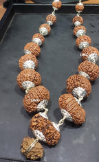 Rudraksha Siddha Mala, 2 to 17 Face Large Nepalese Beads, Made to Order