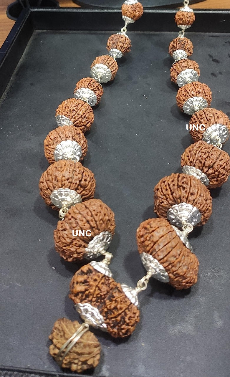 Rudraksha Siddha Mala, 2 to 17 Face Large Nepalese Beads, Made to Order