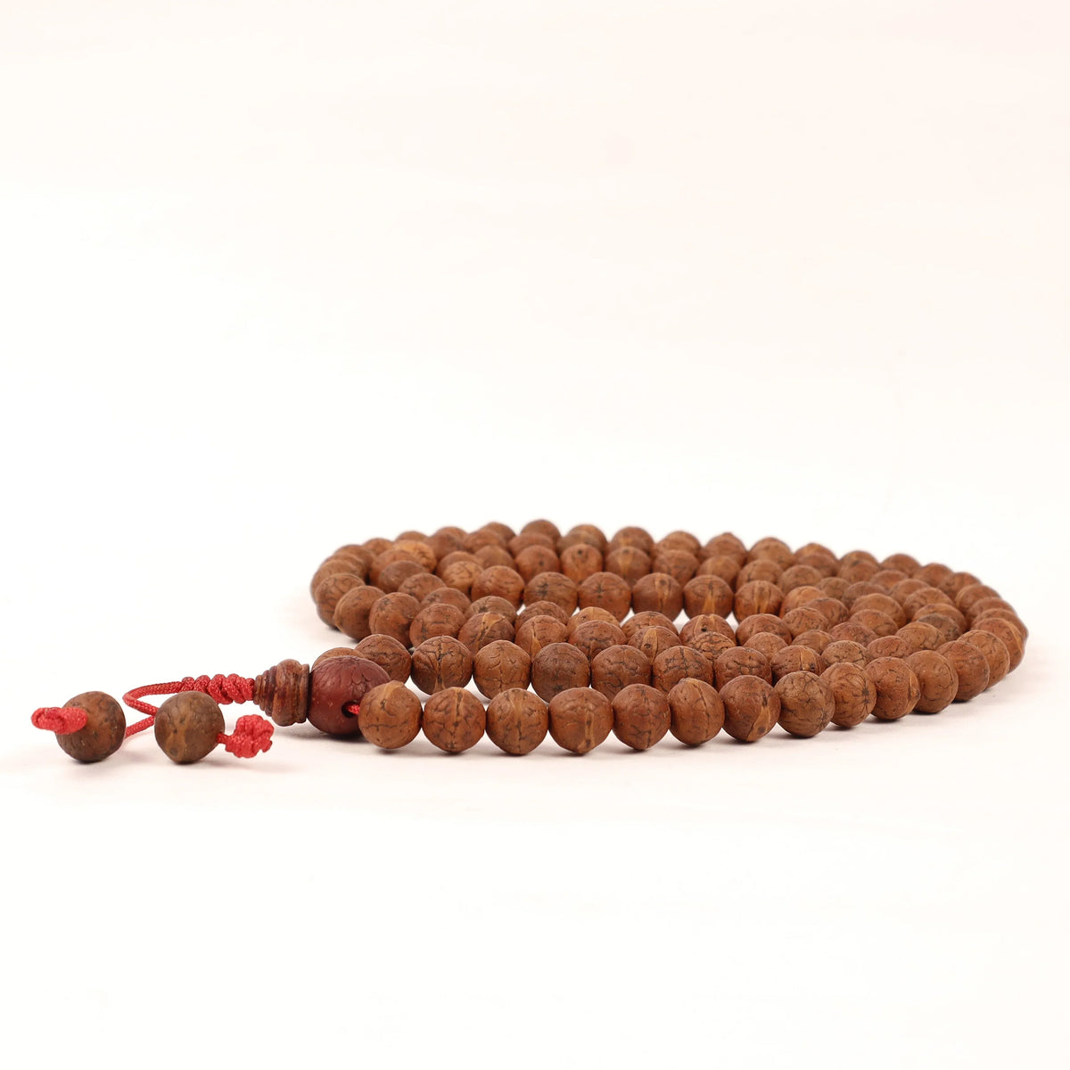 MG_6476 -