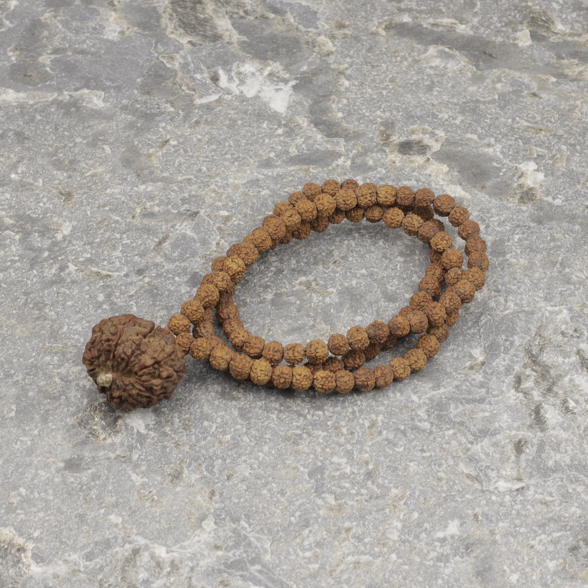 Authentic Rudraksha Mala, Choose Your Nepali Mukhi Guru Bead