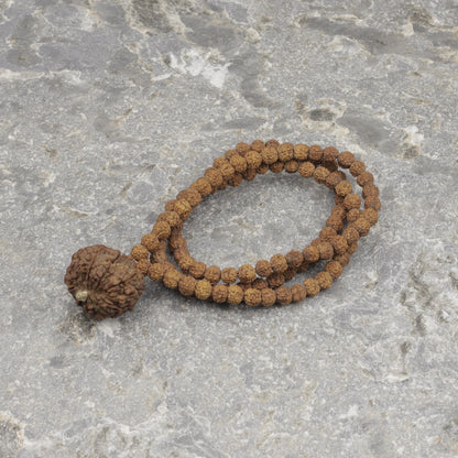 Authentic Rudraksha Mala, Choose Your Nepali Mukhi Guru Bead