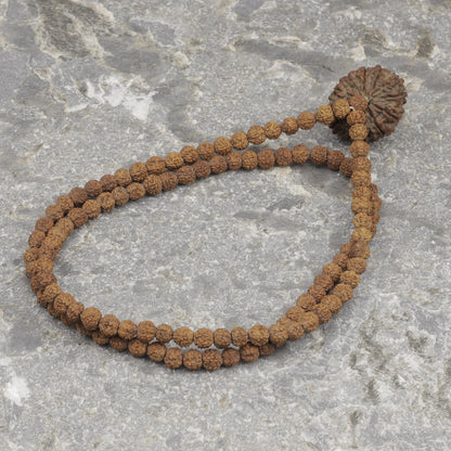 Authentic Rudraksha Mala, Choose Your Nepali Mukhi Guru Bead