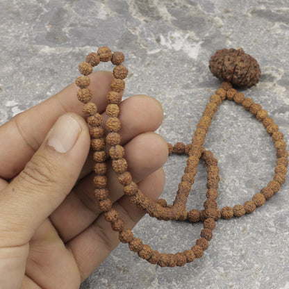 Authentic Rudraksha Mala, Choose Your Nepali Mukhi Guru Bead