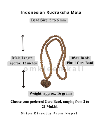 Authentic Rudraksha Mala, Choose Your Nepali Mukhi Guru Bead