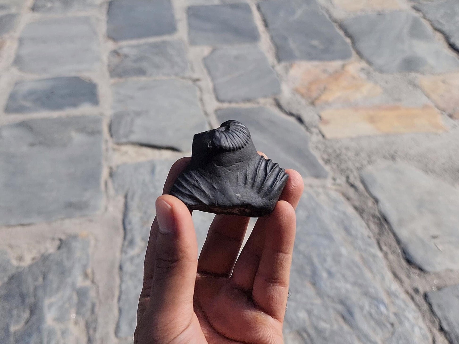 Nirakar Anant Rupa Shaligram