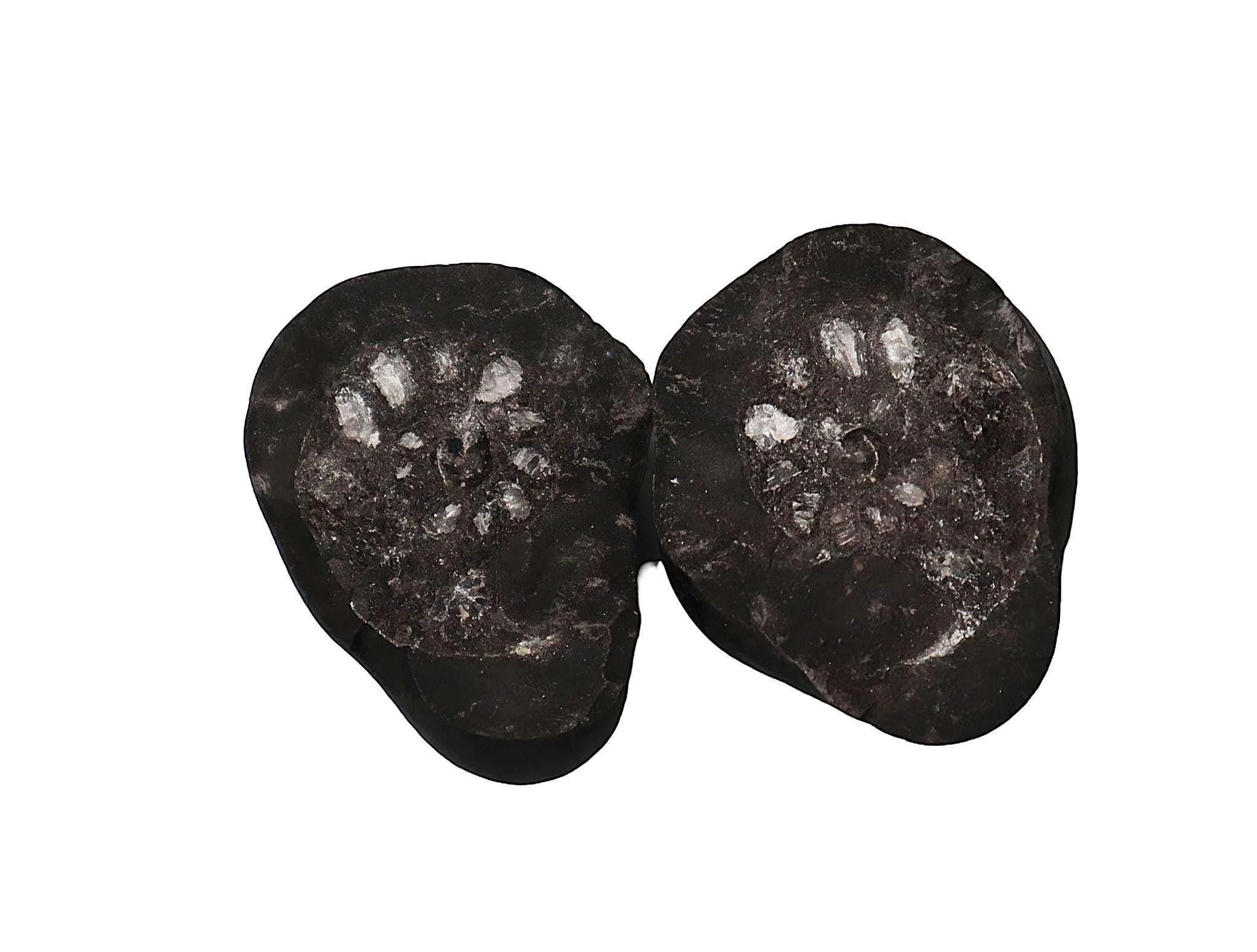 Tibetan Aged Dark Bodhi Seed Beads
