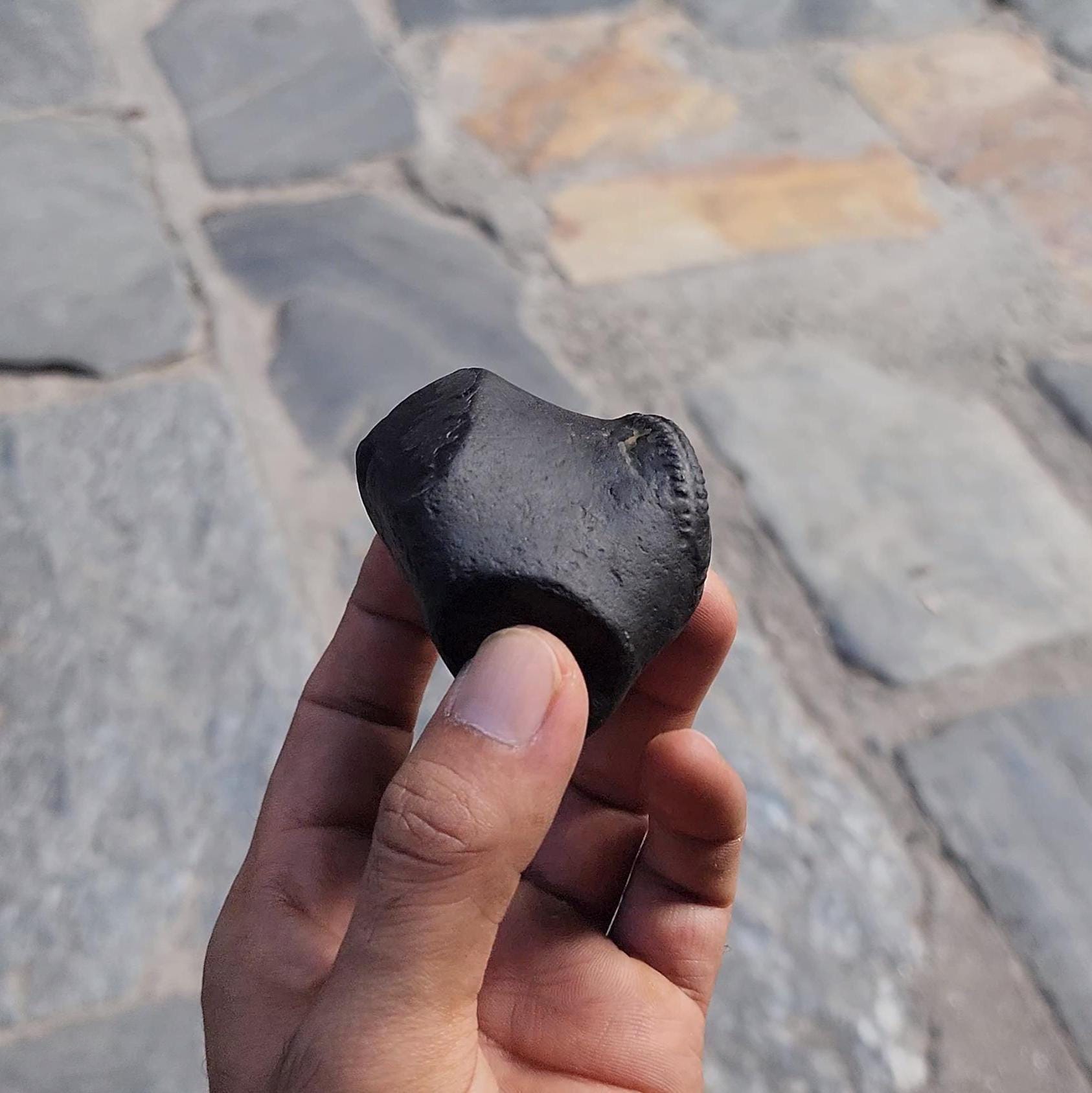 Samboo Shankar Nama Shivaya Shaligrama From Nepal, Stone For Om Devotion