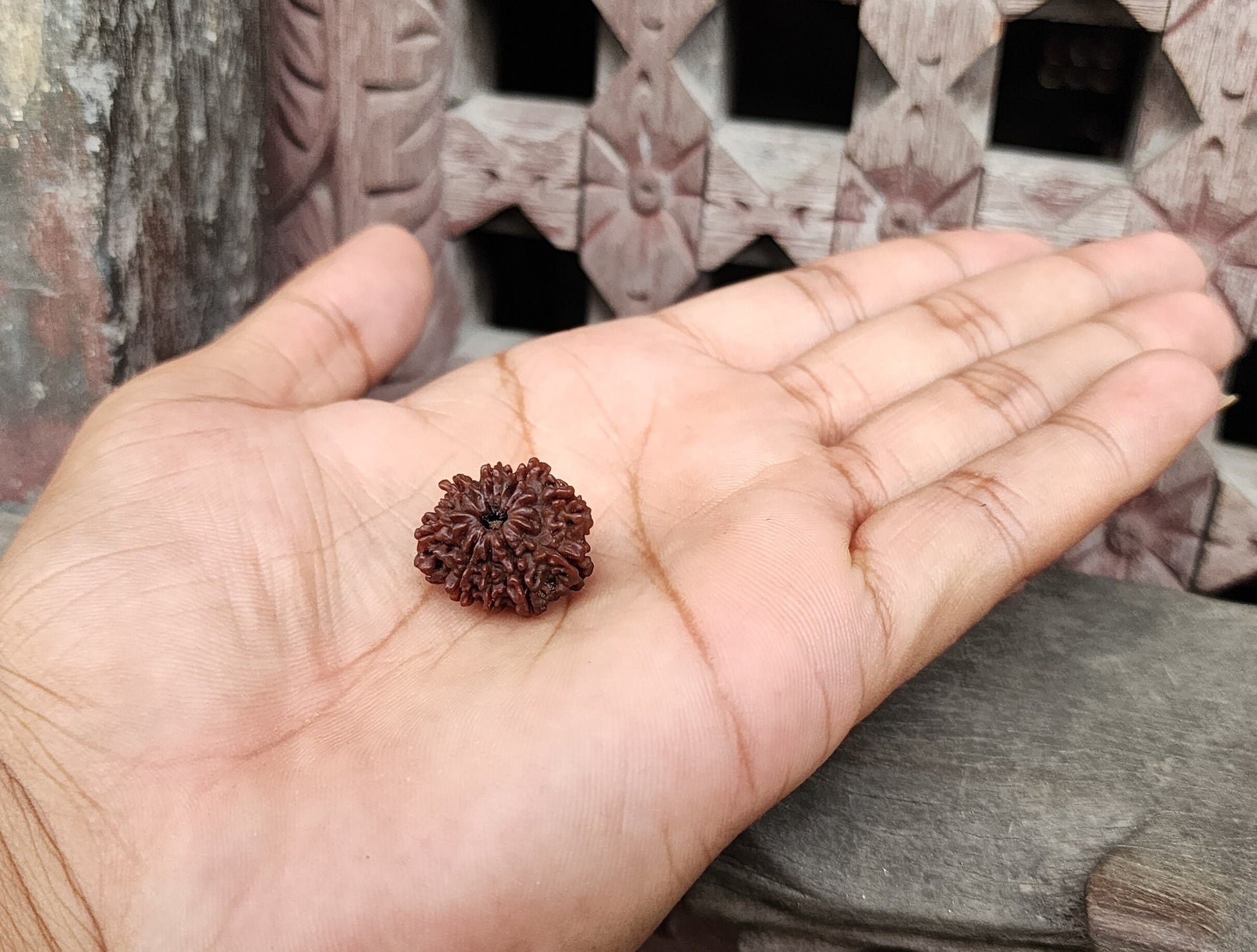Original 9 Mukhi Rudraksha Beads, Sacred Ketu And Goddess Durga Rudraksha