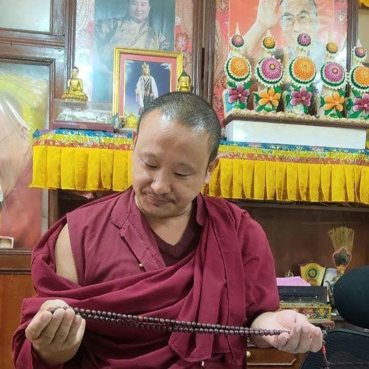 Extremely Rare 7mm Bodhi Seed Prayer Beads, Tibetan 108 Buddha Chitta Mala From Timal Nepal, Natural Phoenix Eye Necklace