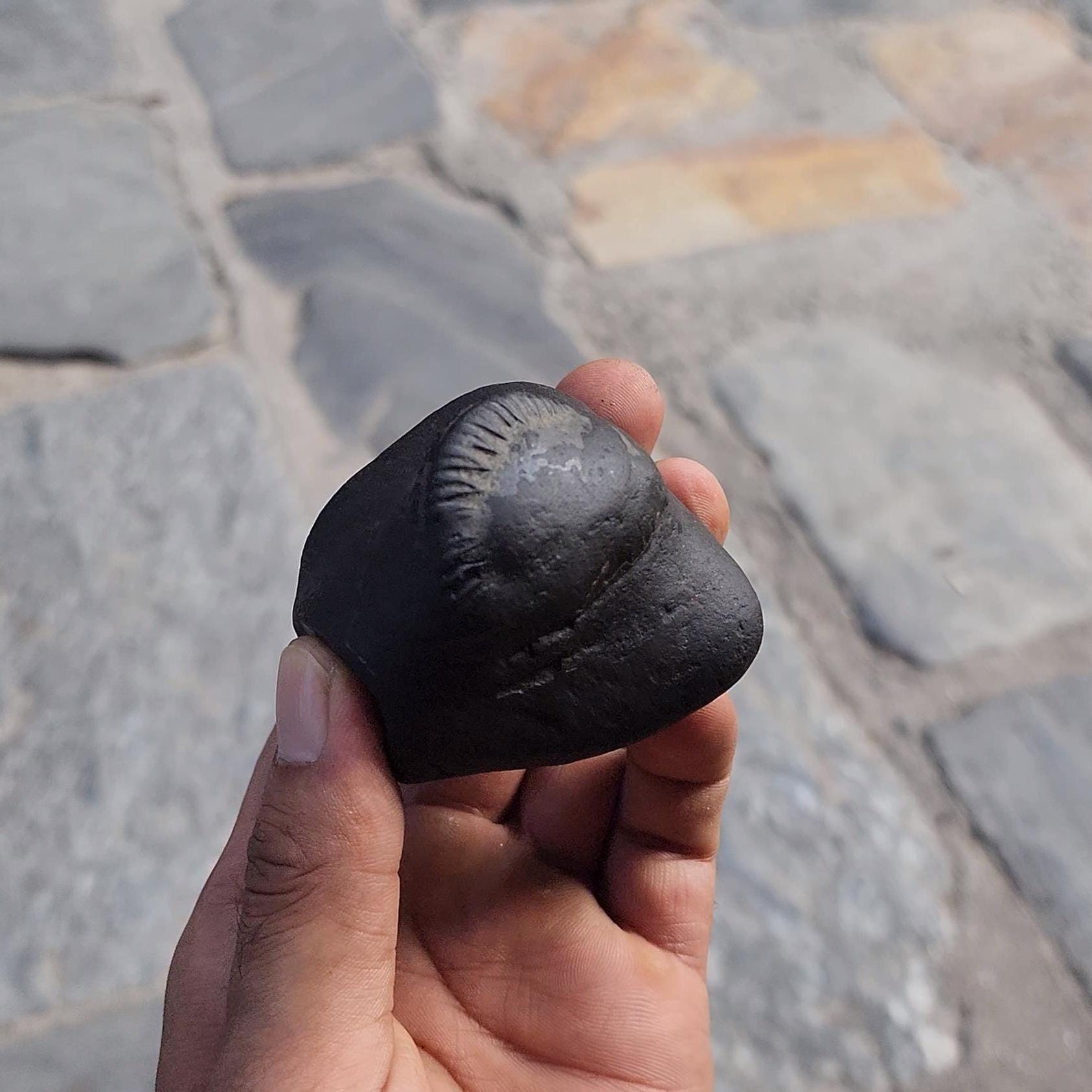 Samboo Shankar Nama Shivaya Shaligrama From Nepal, Stone For Om Devotion